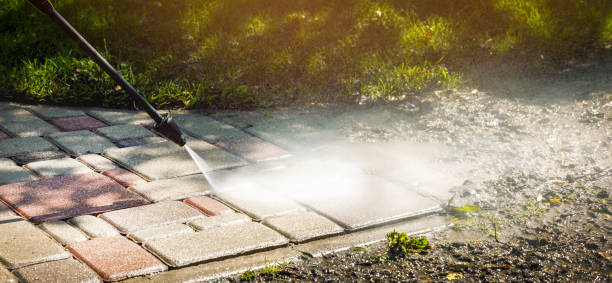 Solar Panel Cleaning in Colchester, IL