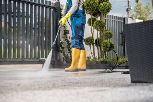 Pre-Holiday Cleaning in Colchester, IL
